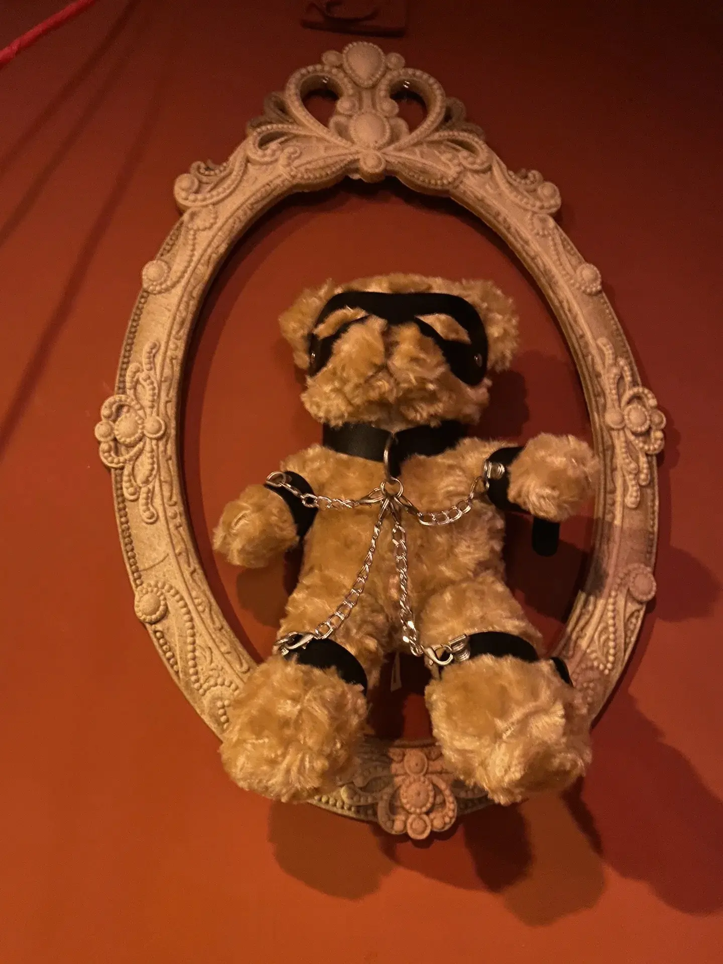 ddlg究竟是什么?揭开这个神秘缩写的面纱! 一