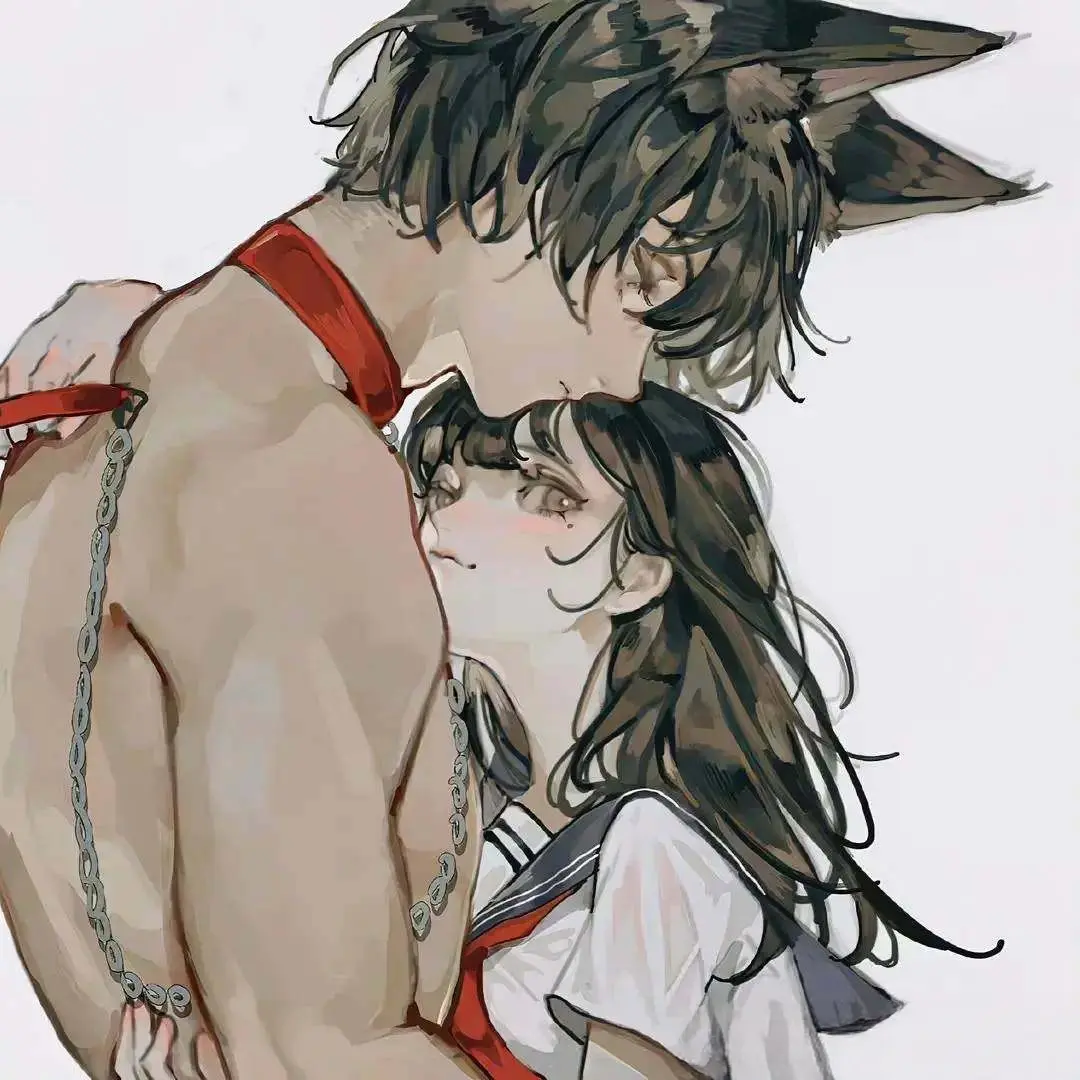 s属性是什么？深入探讨其中的秘密与魅力 一