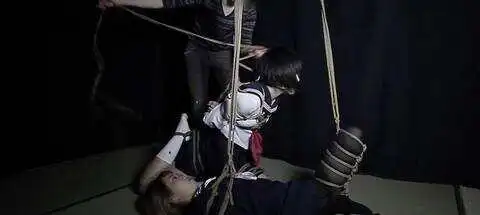 k8猫系的魅力揭秘：你准备好体验这场猫咪与主人的浪漫游戏了吗？ 一