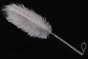 如何深度理解s属性在BDSM中扮演的关键角色 一