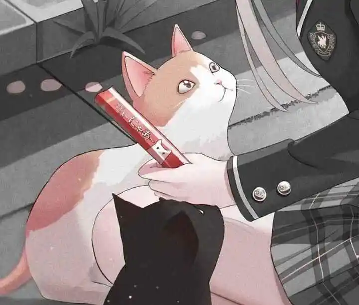 我和我的斯慕圈女王 一