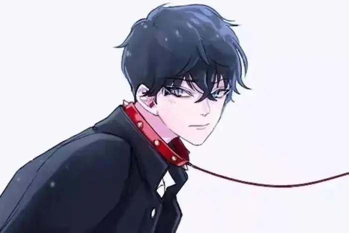 探索我内心深处的s倾向：每个支配者背后的秘密与渴望 一