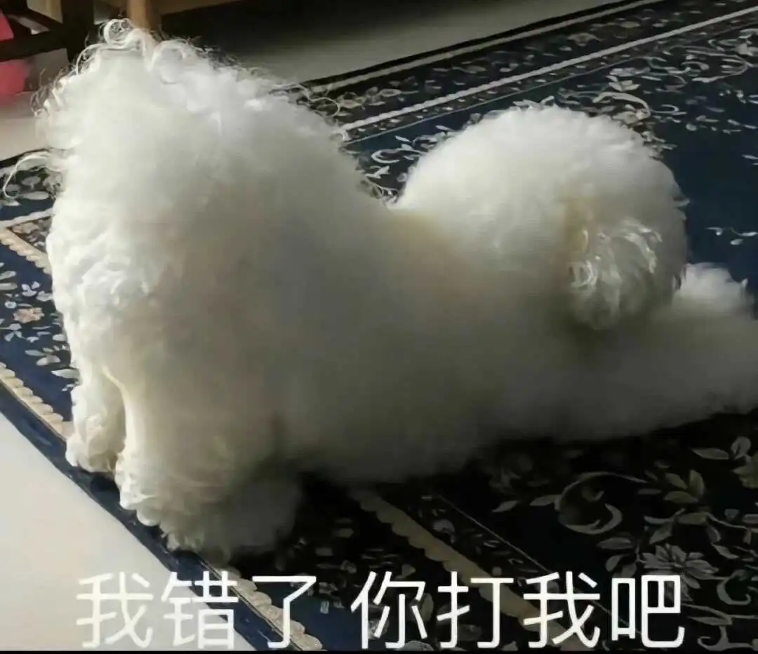 在字母圈中找寻自我身份,你准备好了吗? 一