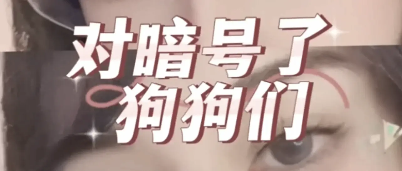 SP小圈中的秘密与探索:你准备好进入这个神秘世界了吗? 一