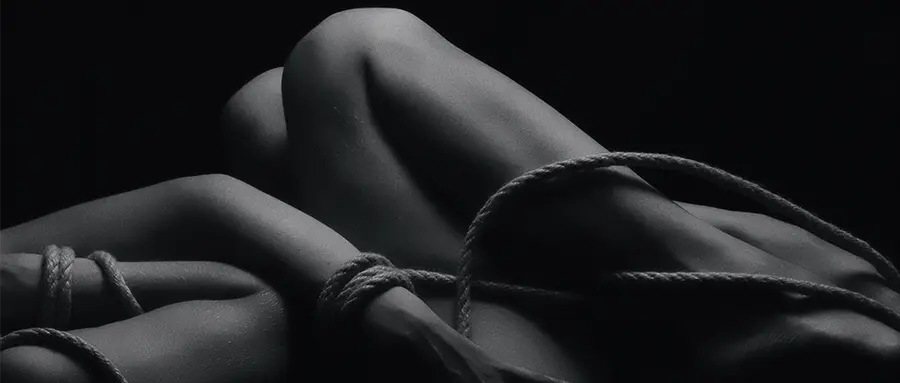 k9是什么?深入探索这个充满魅力的角色扮演世界 一