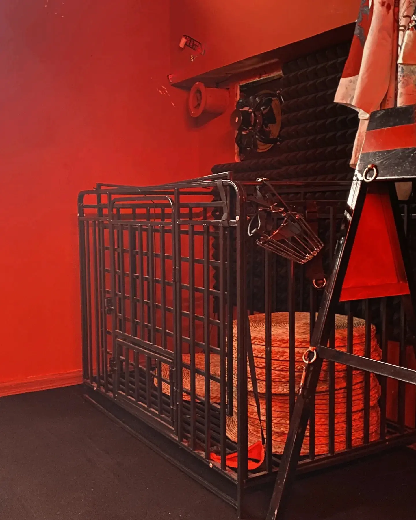 “m倾向”是什么？它背后隐藏的心理原因你知道吗？ 一