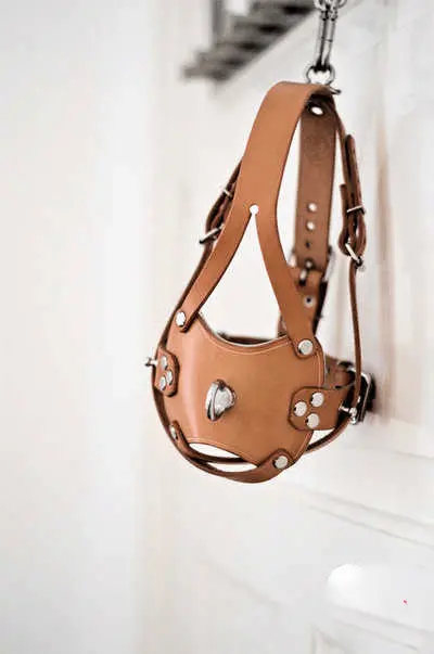 “K9犬系”探索：如何在字母圈中找到属于你的角色？ 一