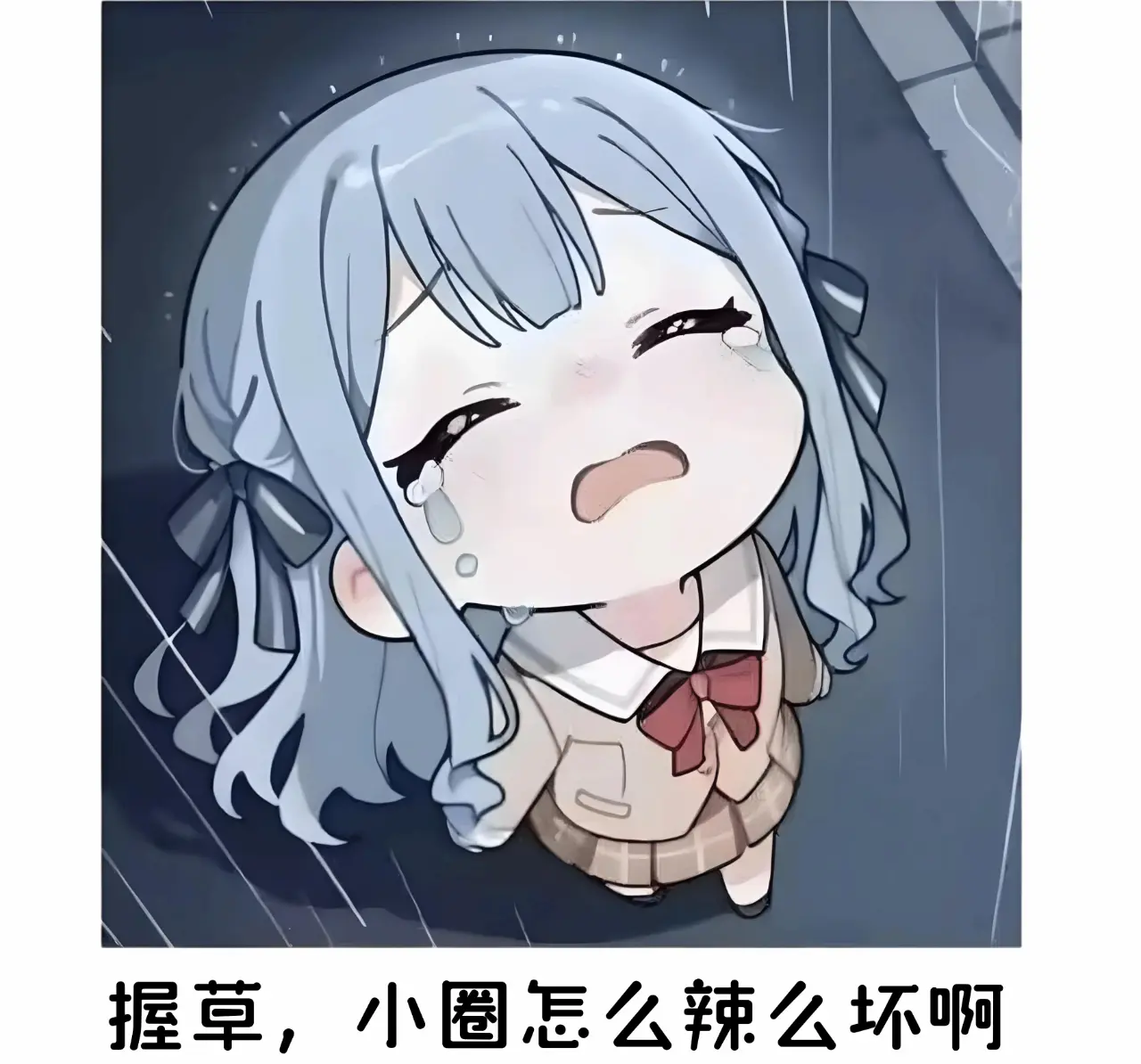 西檬之家k9是什么？揭秘字母圈宠物扮演 一