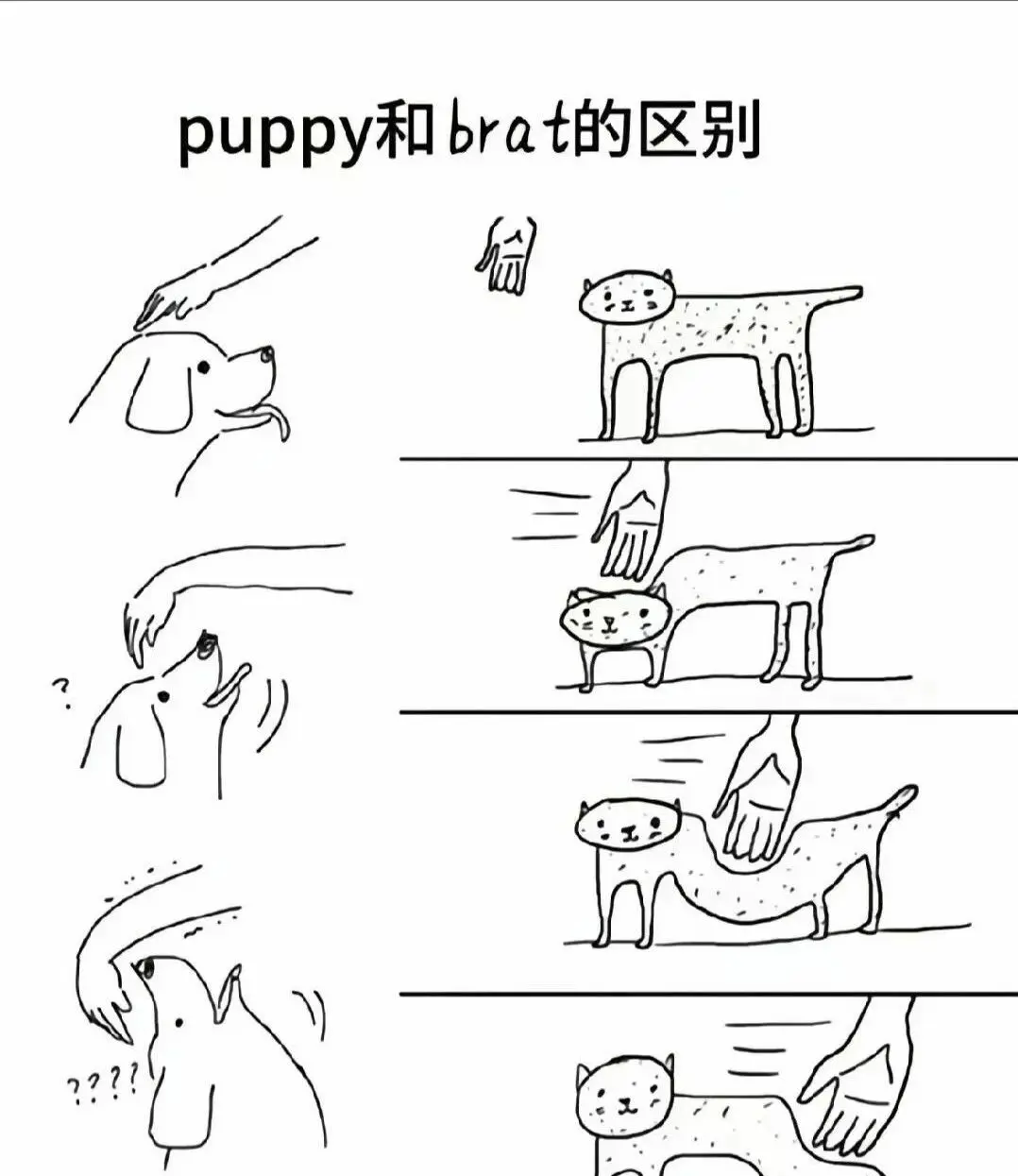 西檬之家字母圈的dirty talk是什么 一