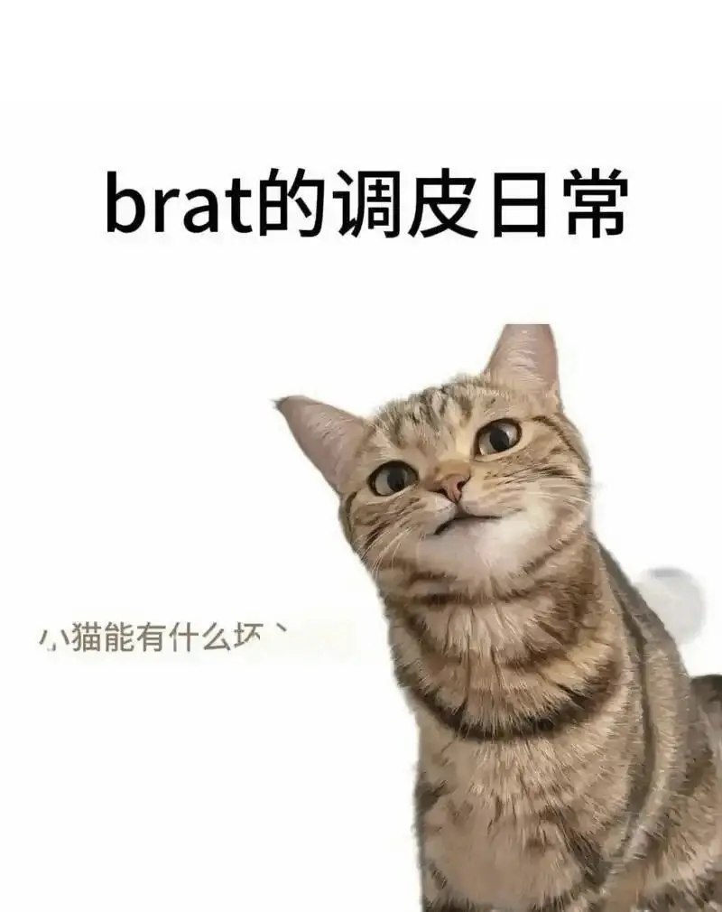 西檬之家字母圈Aftercare是什么？ 一