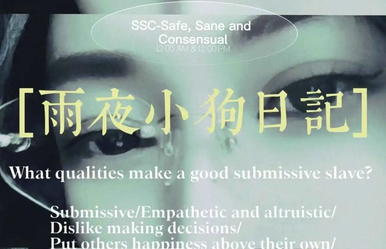 西檬之家k9犬系入门指南 一