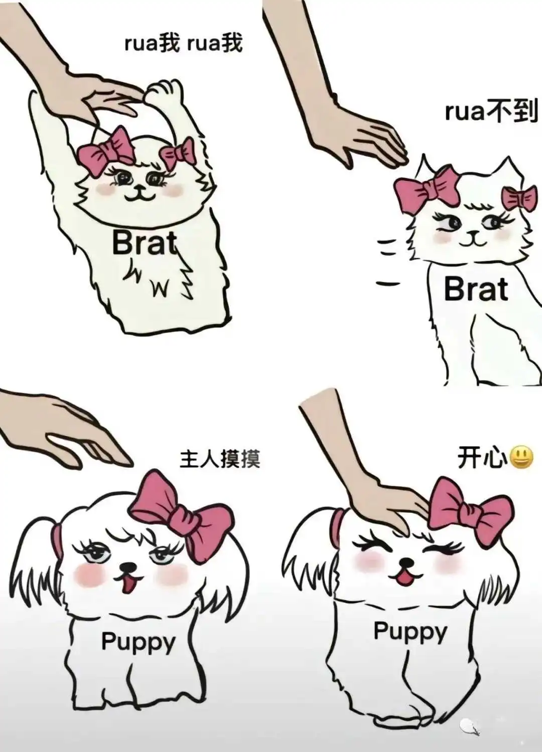 西檬之家m倾向是什么？字母圈新人如何理解 一