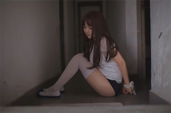 西檬之家DS关系入门：支配与臣服的艺术 一
