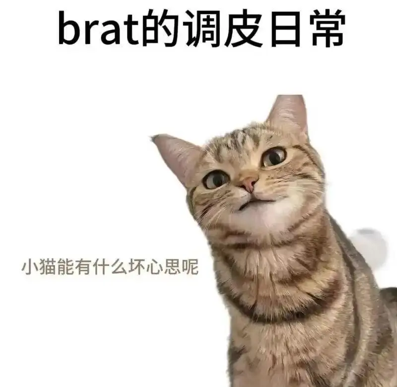 西檬之家女王属性是什么？字母圈新人如何找到你的女王风格？ 一